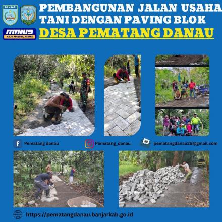 PEMASANGAN PAVING JALAN USAHA TANI DESA PEMATANG DANAU